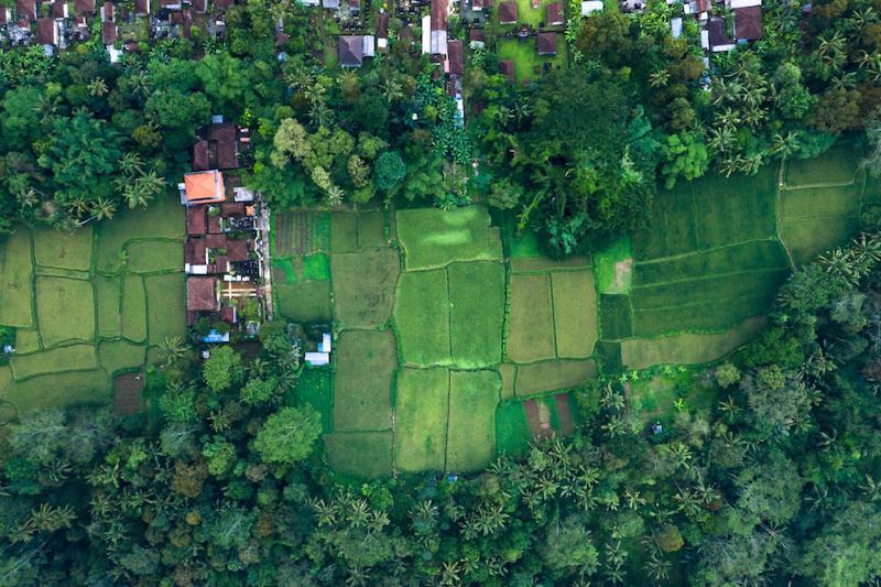 Villa Amrita Ubud  Bagian luar foto