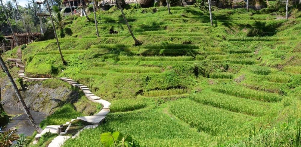Villa Amrita Ubud  Bagian luar foto